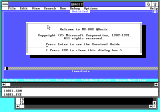 Windows/386 running QBasic